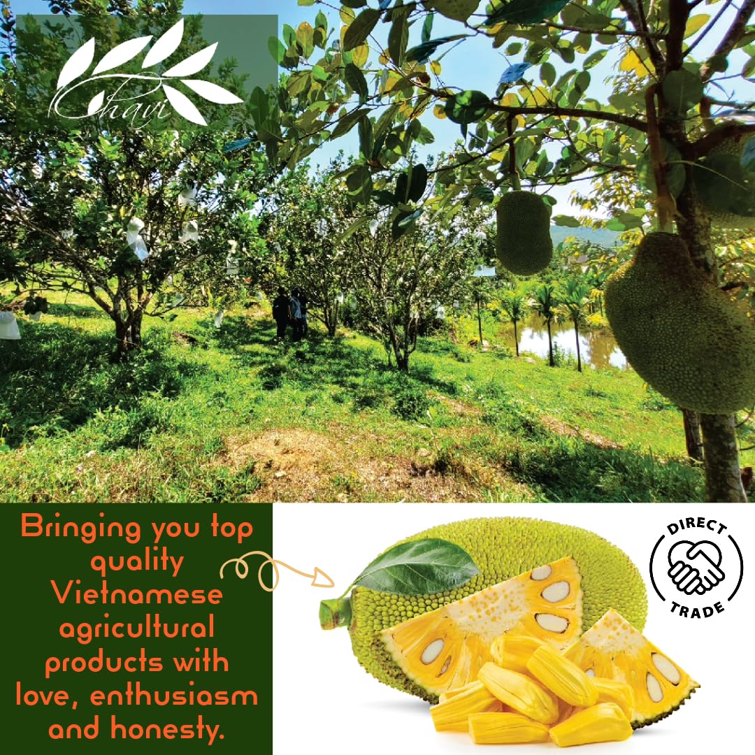 CHAVI Freeze-Dried Jackfruit