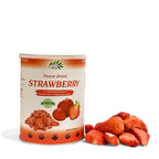 CHAVI Freeze-Dried Strawberry