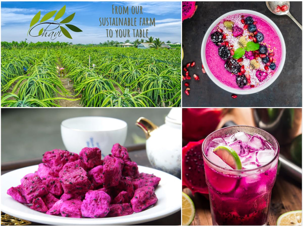 Healthy snack – CHAVI Freeze-Dried Dragon Fruit 100% real fruit
