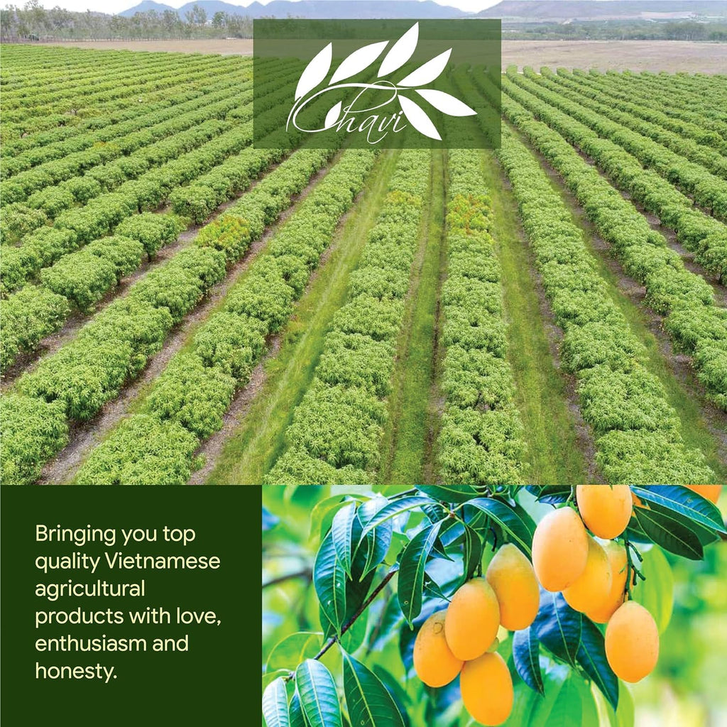 CHAVI Soft- Dried Mango-397g-14oz