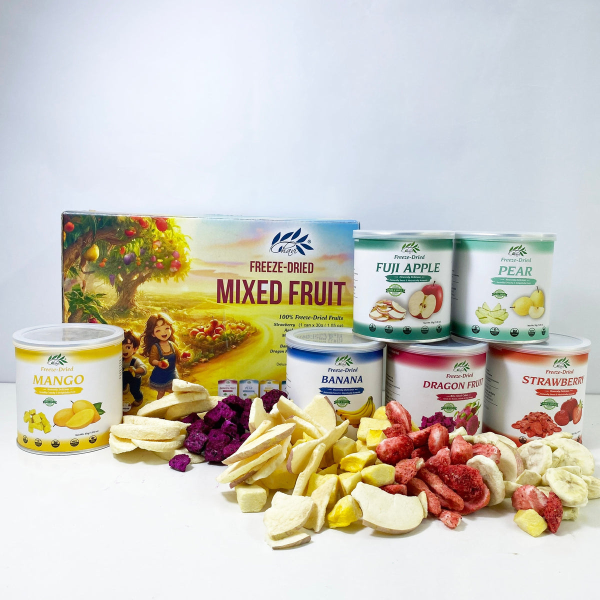 CHAVI freeze-dried fruits mixed 6-in-1 gift box with 6 individual cans